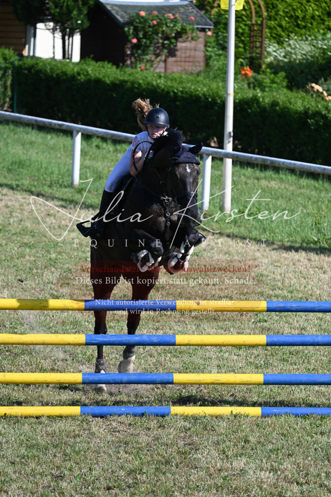 DSC_2492 | Pferde- und Turnierfotografie in Westsachsen. Pferdeportraits, Auftragszeichnungen und intuitive Kunst.