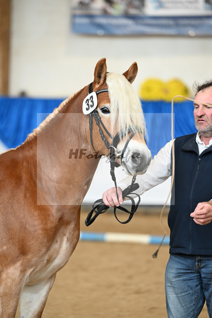 Kat-Nr. 33 Nokiano B v. Novastar_Bleicher_48251148 | hf-fotografie - Realisiert mit Pictrs.com