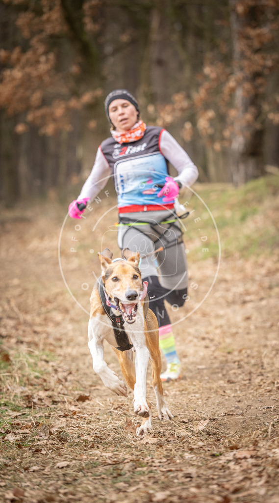 Pfotenfotografie_DV3A4983 | Hundefotografie, Tierfotograf, Pfotenfotografie, Fotoshooting Hund, Hunde Portrait, Hundesport, Hundeportraits, Heideshooting, Hunde, Sportfotograf, Hundefotograf, Turnierhundsport, THS,  - Realisiert mit Pictrs.com
