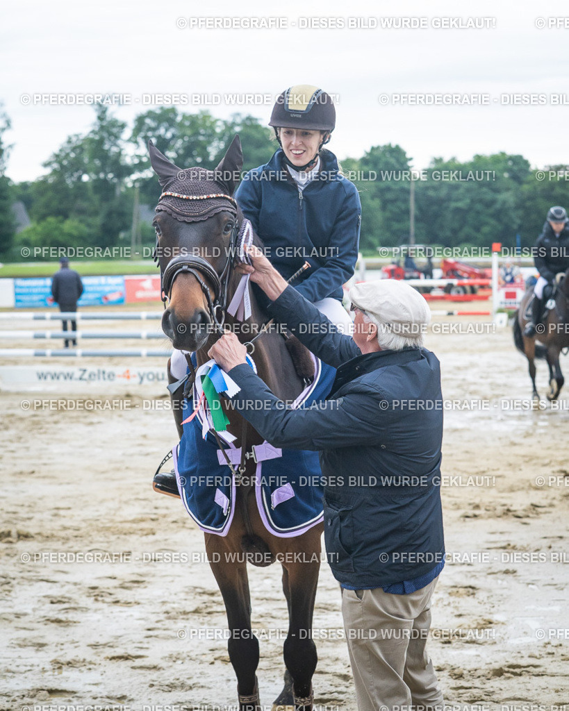 DSC04267 | Pferdegrafie