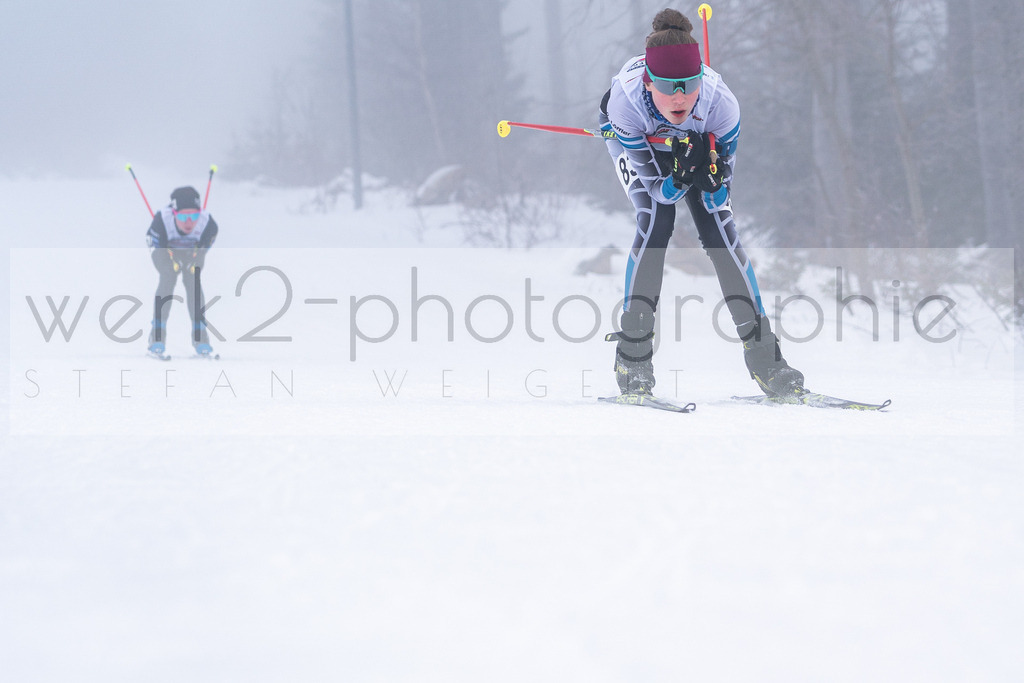 DSC Arber | Bayerischer Wald am 15. und 16. Januar 2022
