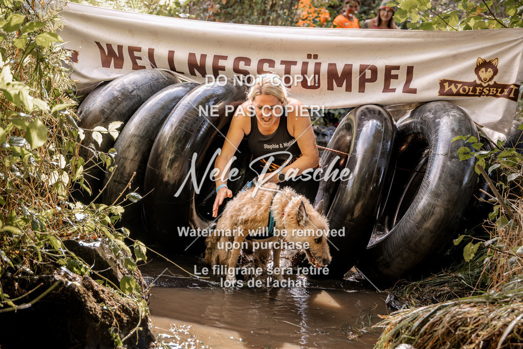 nelerasche_Hunsrück2026_Sa1400-1500_220 | nelerasche