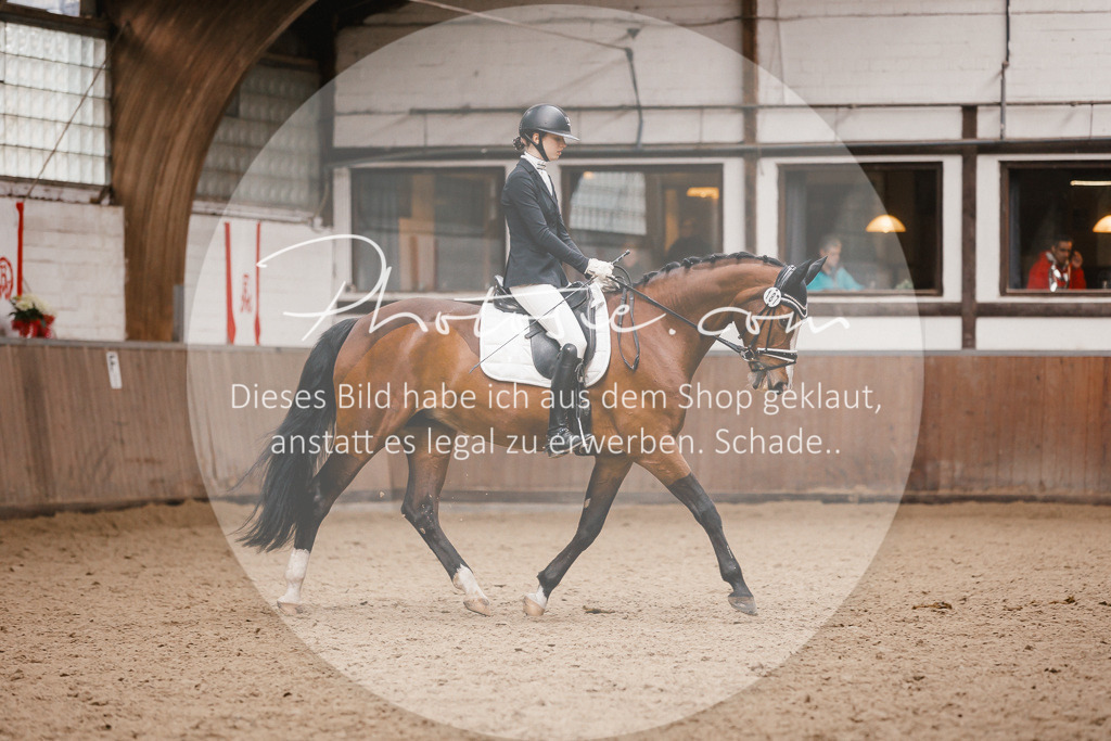 3I6A7506 | Stimmungsvolle Portraits und Reitsportfotografie im Ruhrgebiet und im Münsterland.

Pferdefotografie, Hundefotografie, Tierfotografie, Reportagen, Portraits von Tier und Mensch, Turnierfotografie in Bochum, Recklinghausen, Marl, Haltern am See, Dülmen.. - Realisiert mit Pictrs.com