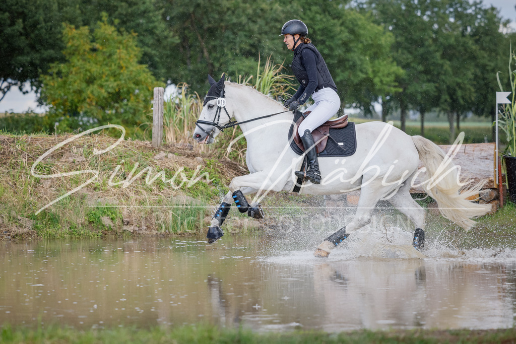 20250905-_3LI0853 | Tierfotografie Pferde, Hunde, Katzen, Haustiere.
Turnierfotografie Reitturniere, Reiten, Springreiten, Dressur in Hanau, dem Main-Kinzig-Kreis und dem Rhein-Main- Gebiet um Frankfurt