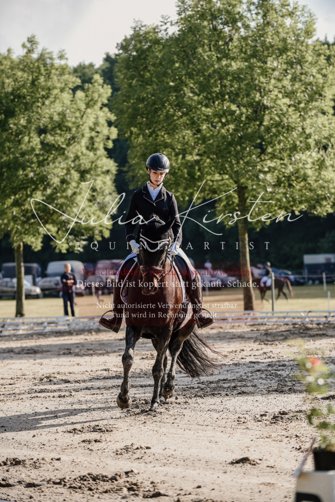 DSC_7814 | Pferde- und Turnierfotografie in Westsachsen. Pferdeportraits, Auftragszeichnungen und intuitive Kunst.