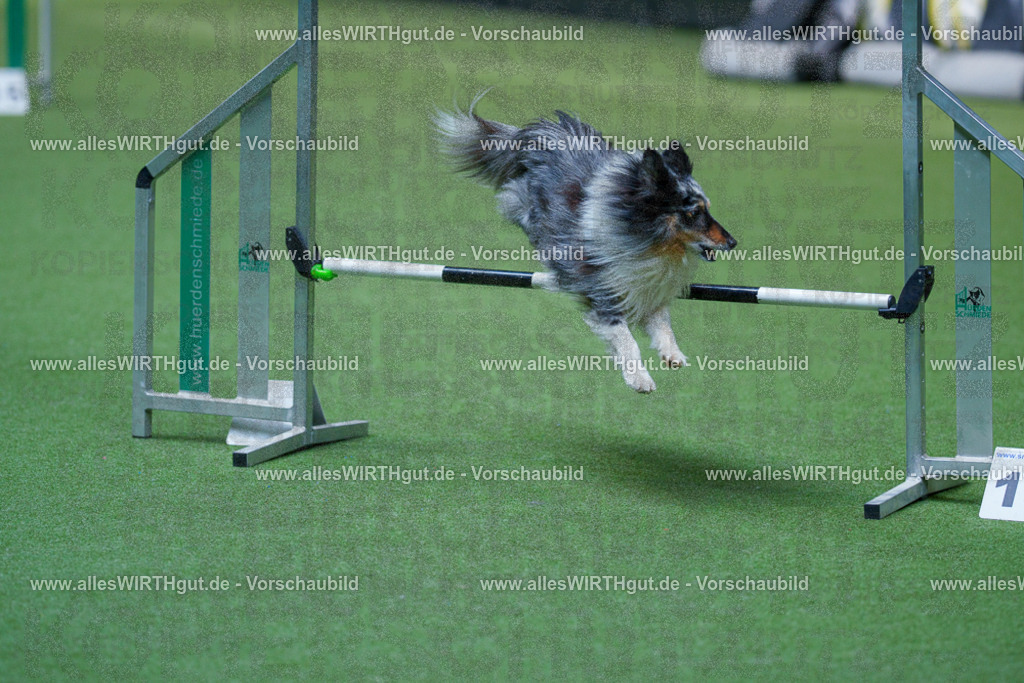 @allesWIRTHgut_Tierfotografie - www.allesWIRTHgut.de - 2604261458-7R504166 | Professionelle Tierfotografie in Mönchengladbach von Daniel Wirth (allesWIRTHgut). Liebevolle & natürliche Bilder von Hunden & Katzen für unvergessliche Erinnerungen.