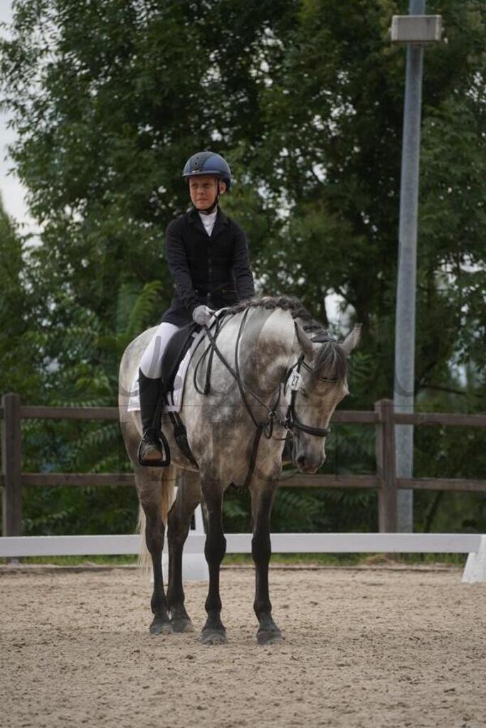 tgbhsamstag (1823) | d.tail Visions - Shop - Realisiert mit Pictrs.com