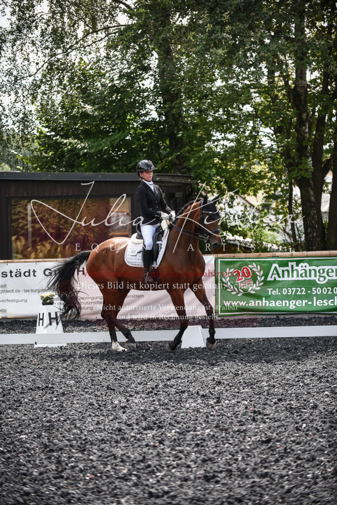 DSC_4769 | Pferde- und Turnierfotografie in Westsachsen. Pferdeportraits, Auftragszeichnungen und intuitive Kunst.