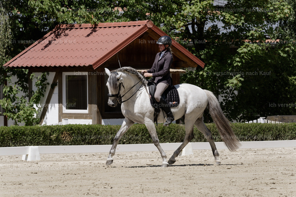 WS_DR_83_sinafilmart_IN08838 | working equitationturnier fotograf videograf stoibphotography marixx film working equitation deutschland reitsport turnierfotografie eventfotografie equestrian events