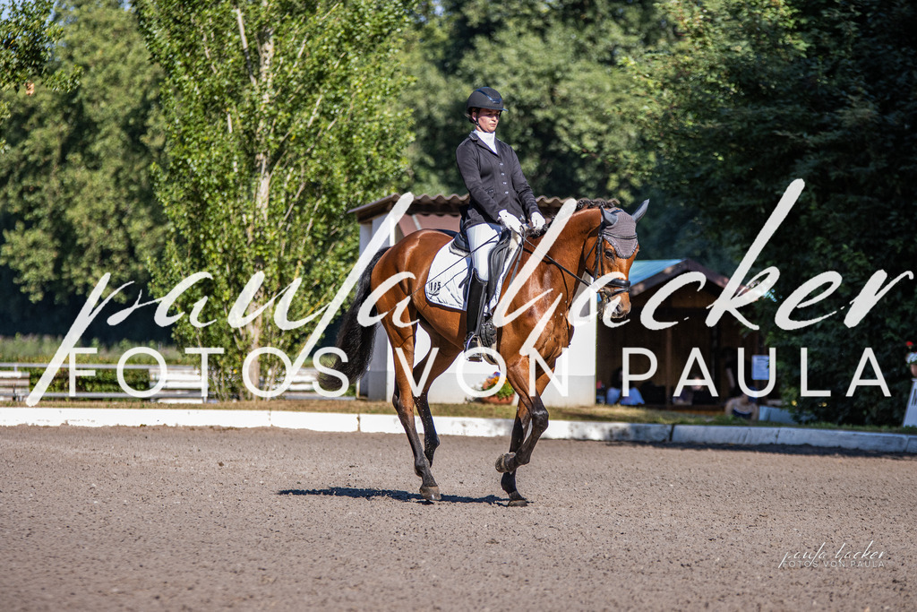 IMG_7954 | Erleben Sie dynamische Sport- und emotionale Tierfotografie in Süddeutschland mit Fotos von Paula. Spezialisiert auf Pferde- und Hundefotografie sowie Sportevents. Kontaktieren Sie mich für einzigartige und ausdrucksstarke Bilder Ihrer besonderen Momente. - Realisiert mit Pictrs.com