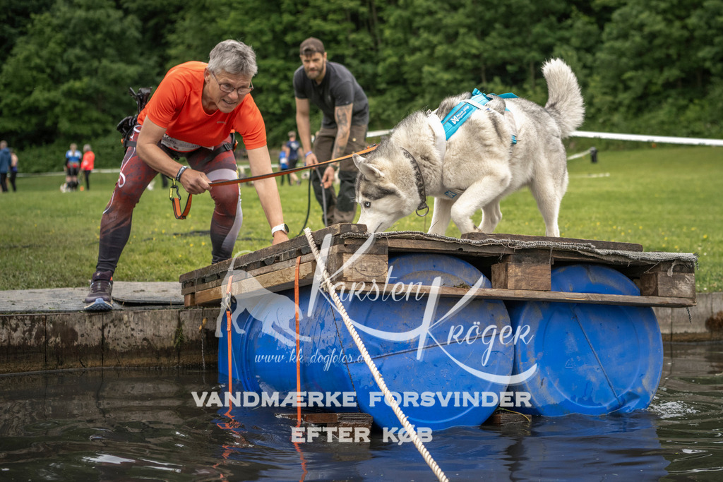 1001_ZZ93518 | kk-dogfotos
