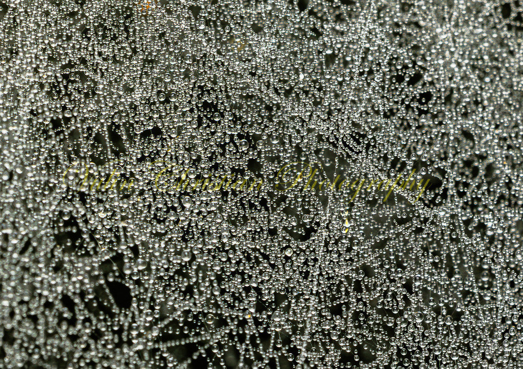 P 9 | Christian Vulin  - Realisiert mit Pictrs.com