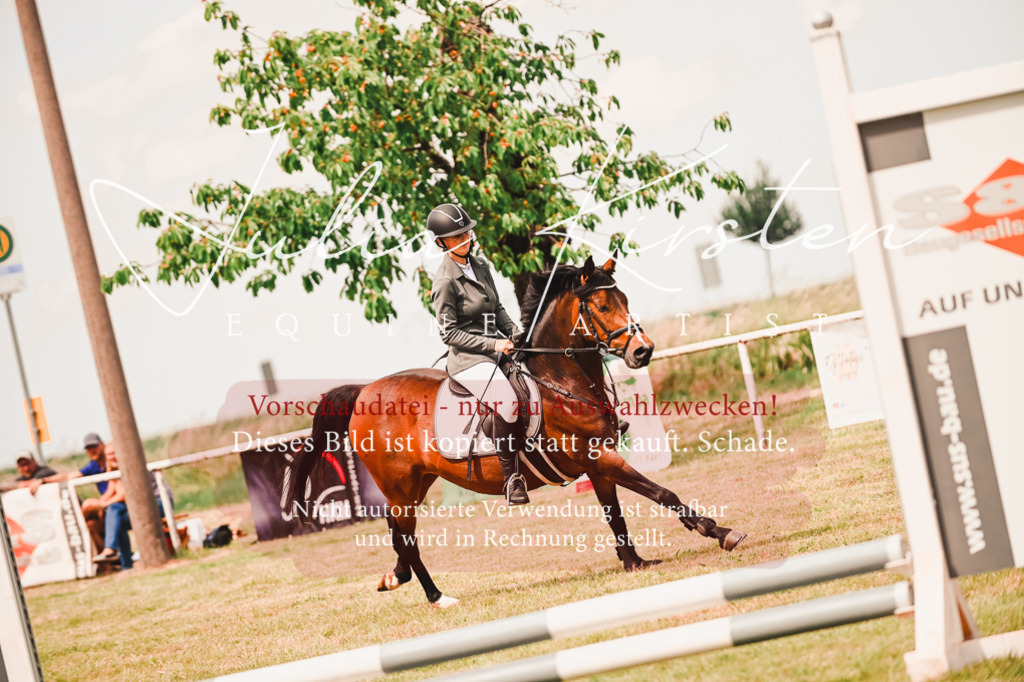 DSC_6928 | Pferde- und Turnierfotografie in Westsachsen. Pferdeportraits, Auftragszeichnungen und intuitive Kunst.