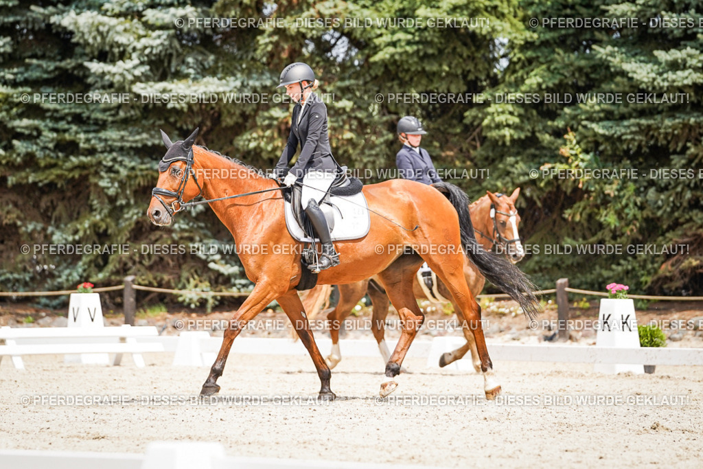 DSC03300 | Pferdegrafie