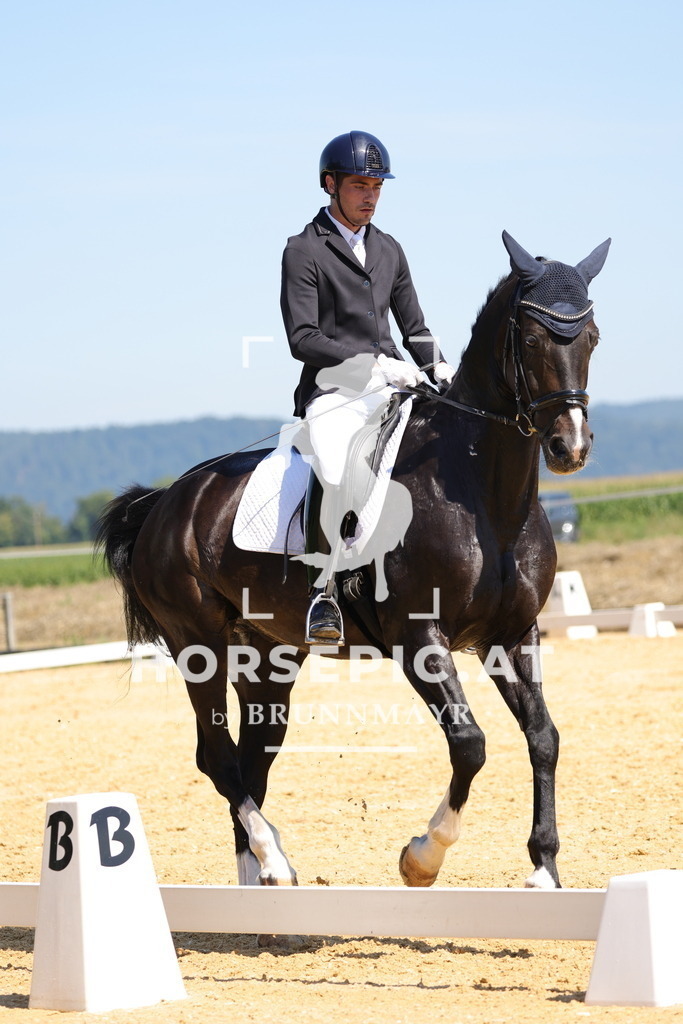 0P6A7613 | Willkommen bei Brunnmayr - Design & Fotografie – Ihrem Spezialisten für Reitturniere und Pferdeveranstaltungen in Oberösterreich, Salzburg und Bayern! Seit über 17 Jahren sind wir leidenschaftlich dabei.