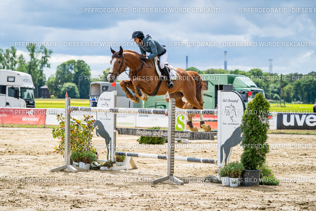 DSC05898 | Pferdegrafie