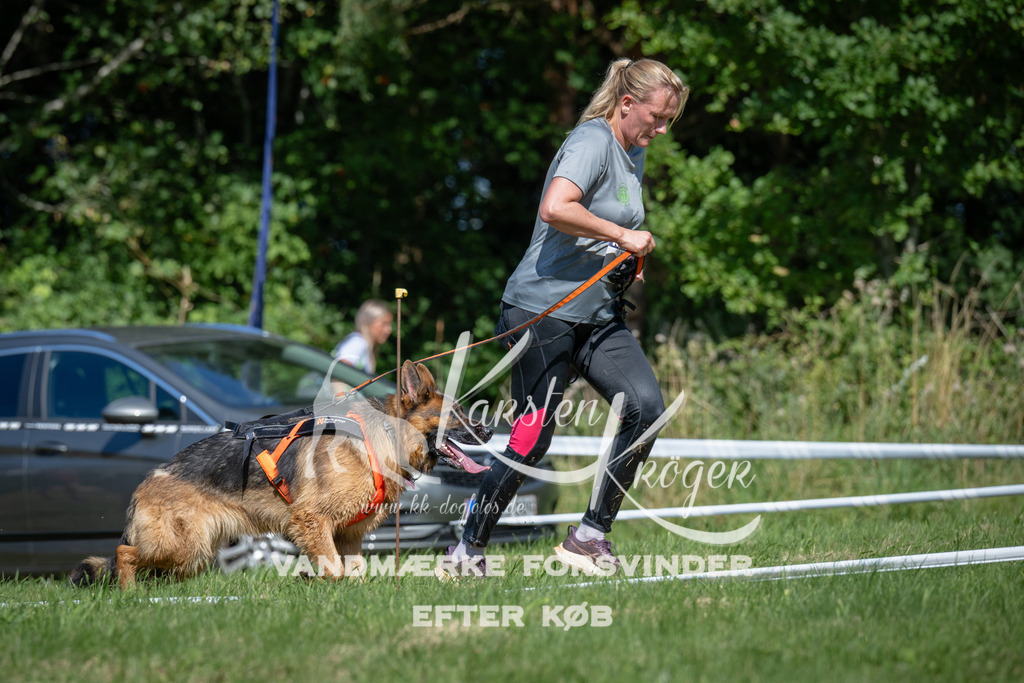 1152_ZZ92710 | kk-dogfotos
