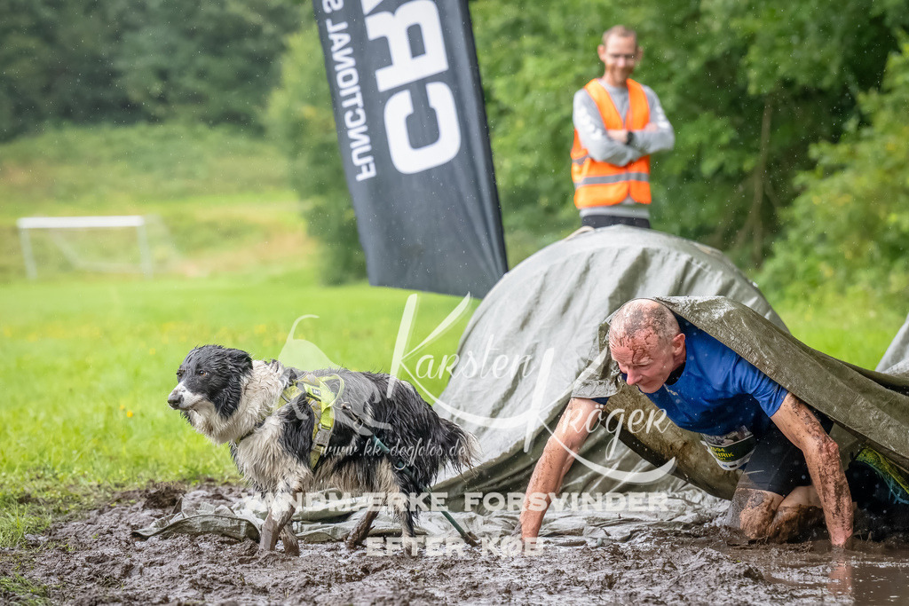 0939_ZZ91579-Bearbeitet | kk-dogfotos