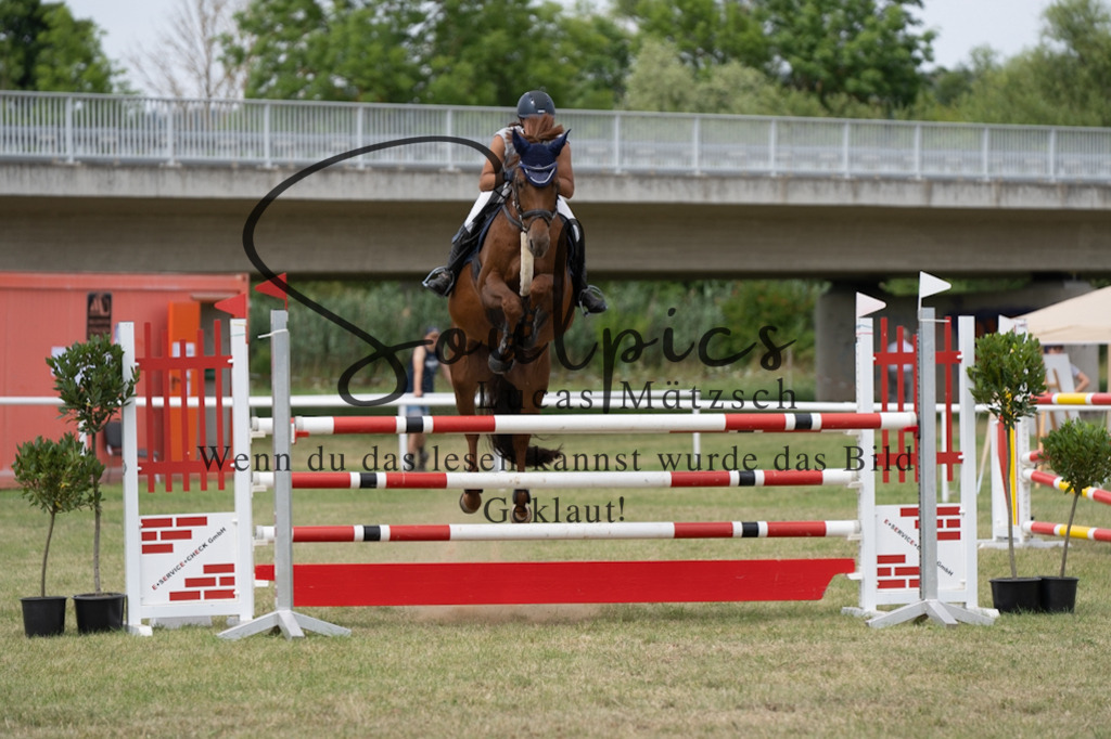 A7V02400 | Pferdefotograf