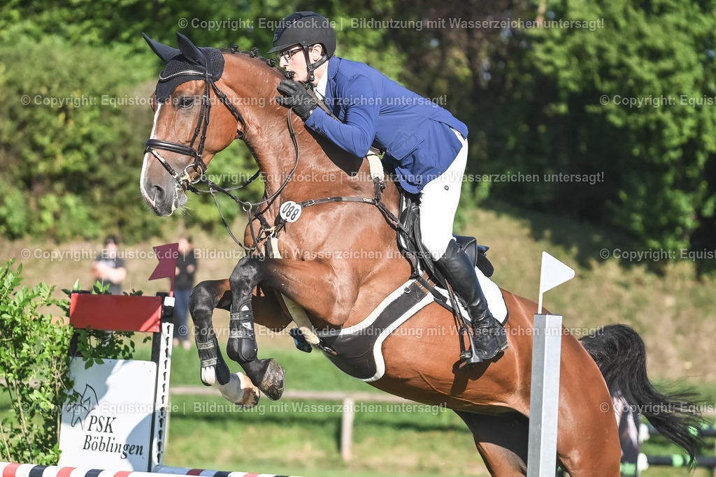20230908_14-15_Springpferde-A_0059 | equistock