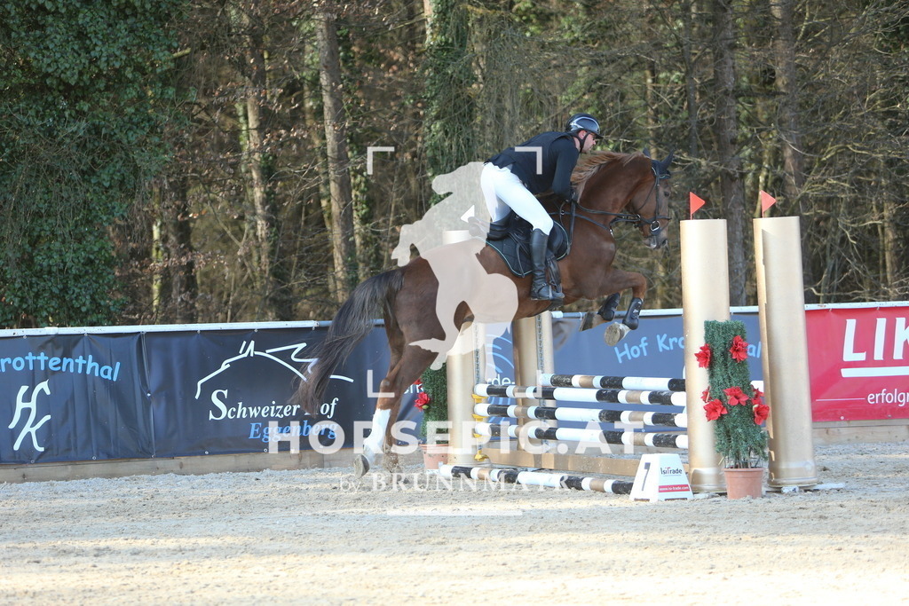 DL2Q2213 | Willkommen bei Brunnmayr - Design & Fotografie – Ihrem Spezialisten für Reitturniere und Pferdeveranstaltungen in Oberösterreich, Salzburg und Bayern! Seit über 17 Jahren sind wir leidenschaftlich dabei.