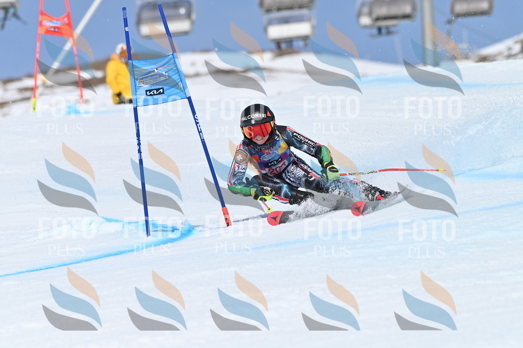 BGV_1040 | holidayphoto