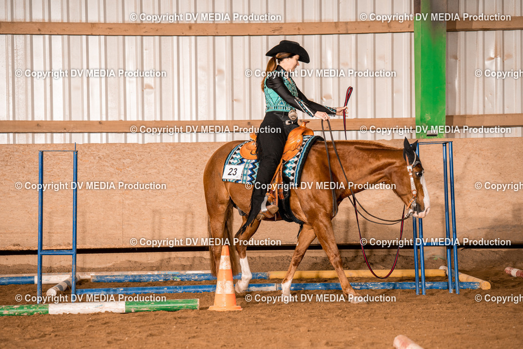 BA400115 | dv-media-shop - Realisiert mit Pictrs.com