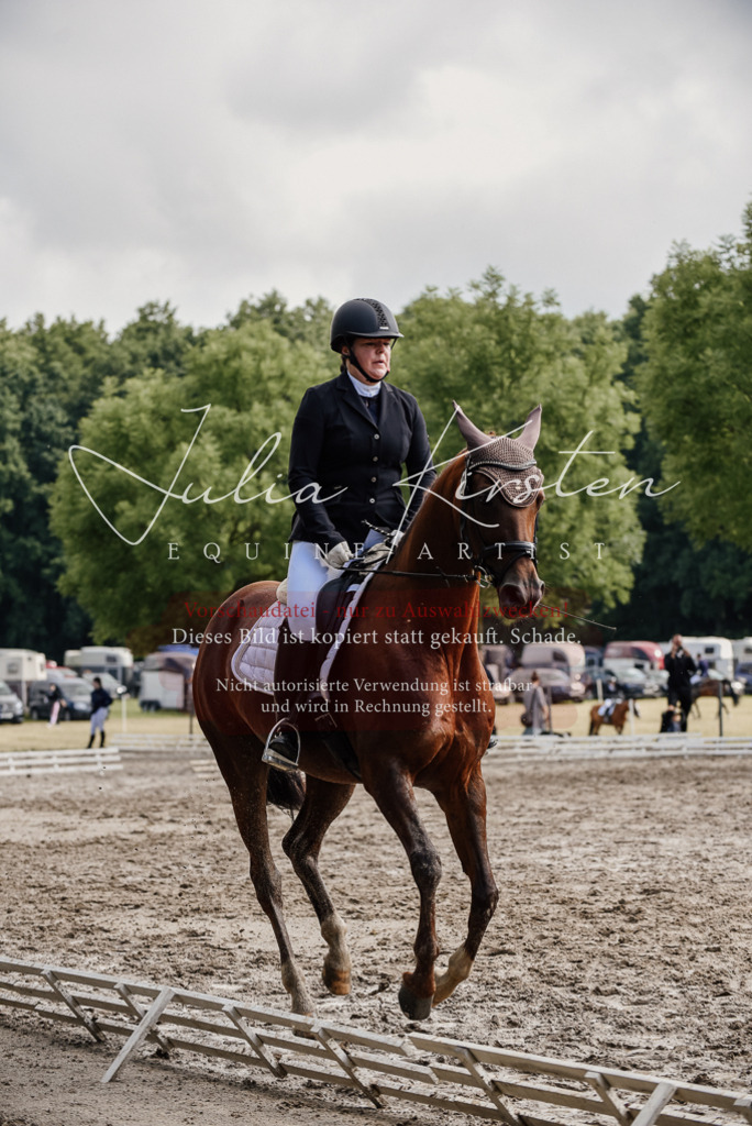 DSC_9320 | Pferde- und Turnierfotografie in Westsachsen. Pferdeportraits, Auftragszeichnungen und intuitive Kunst.