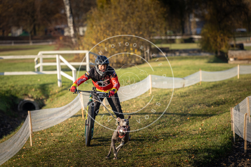 CaniXpix_DV3A1195 | Hundefotografie, Tierfotograf, Pfotenfotografie, Fotoshooting Hund, Hunde Portrait, Hundesport, Hundeportraits, Heideshooting, Hunde, Sportfotograf, Hundefotograf, Turnierhundsport, THS,  - Realisiert mit Pictrs.com
