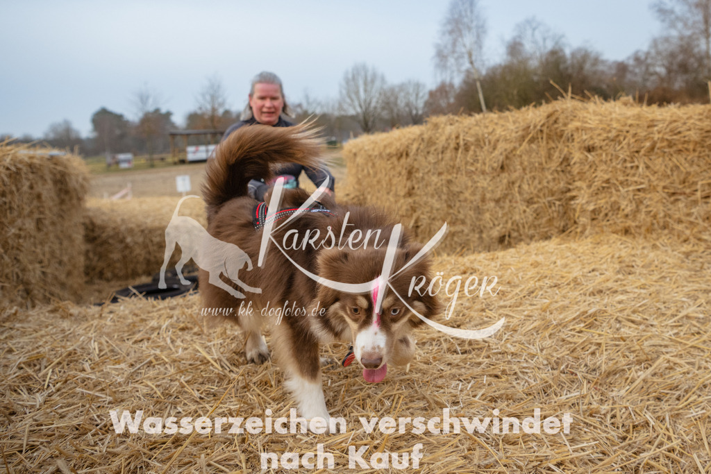 0828_ZZ93007 | kk-dogfotos