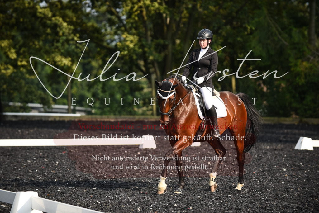 DSC_3342 | Pferde- und Turnierfotografie in Westsachsen. Pferdeportraits, Auftragszeichnungen und intuitive Kunst.