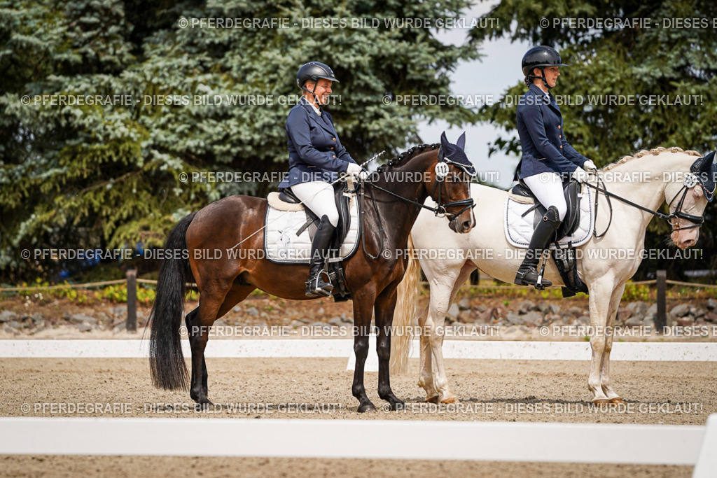 DSC04456 | Pferdegrafie