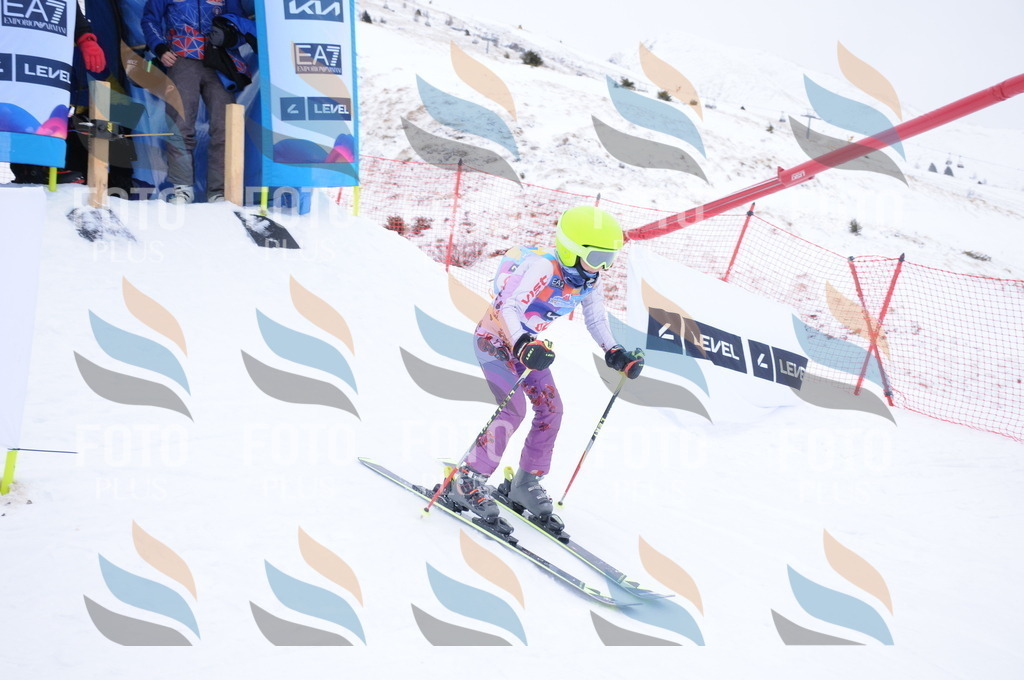 DSC_8011 | holidayphoto