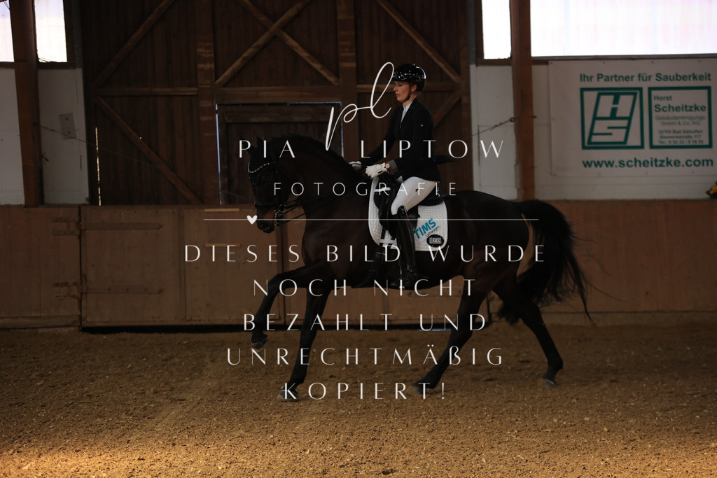 IMGT2437 | pl-fotografie