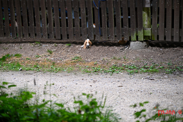 SNLC Ankoerung Lotzwil | SNLC Ankoerung in Lotzwil. 02.07.2023 Foto: LeoWyden
