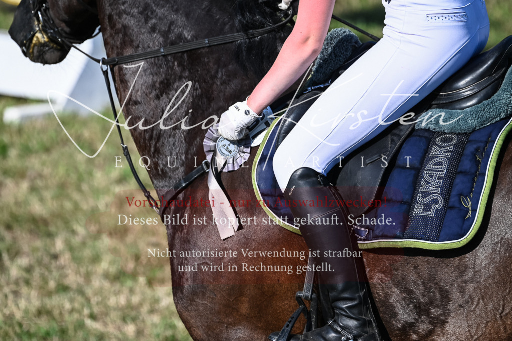 DSC_2602 | Pferde- und Turnierfotografie in Westsachsen. Pferdeportraits, Auftragszeichnungen und intuitive Kunst.