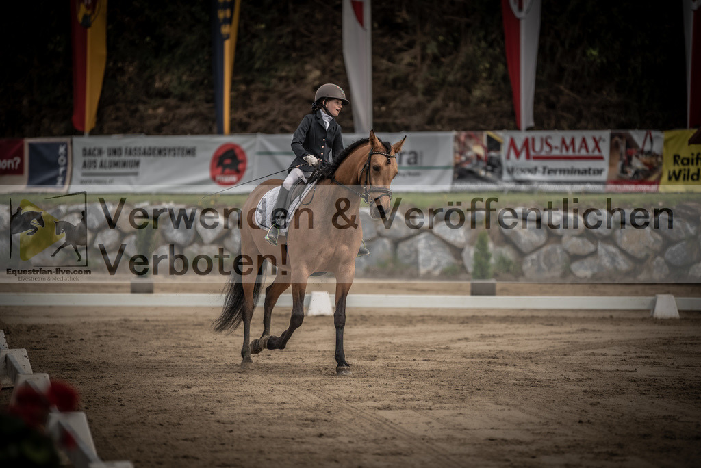 DSC_8397 | equestrian-live-com