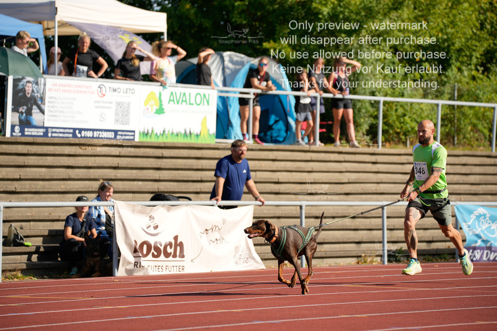 Sonntag_Staffel (95 von 336) | stephaniefillaphotographie - Realisiert mit Pictrs.com