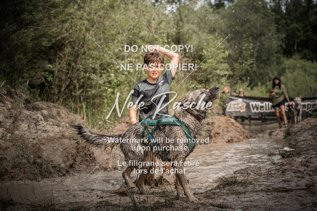 nelerasche_Hoope2026_Sa1100-1130_109 | nelerasche