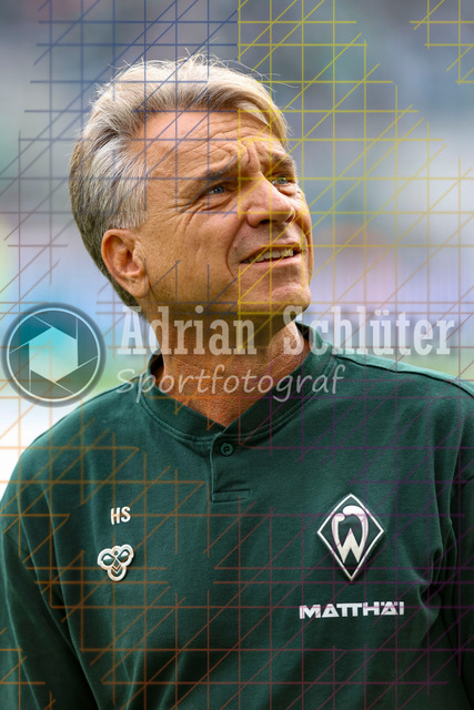 Borussia Mönchengladbach vs SV Werder Bremen - Bundesliga  | Mönchengladbach, Deutschland, 14.09.25:   Trainer Horst Steffen (SV Werder Bremen) schaut waehrend des Spiels der Bundesliga zwischen Borussia Mönchengladbach vs SV Werder Bremen im Stadion im Borussia Park(Foto von Brauer-Fotoagentur / Adrian Schlueter)