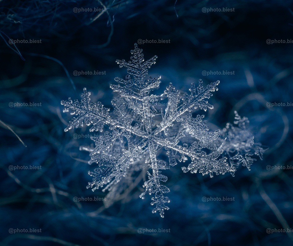 Schneeflocke #10 | Eine (von vielen) filigranen Schneeflocken in meinem ersten Makro-Schneeflocken-Winter. - Realisiert mit Pictrs.com