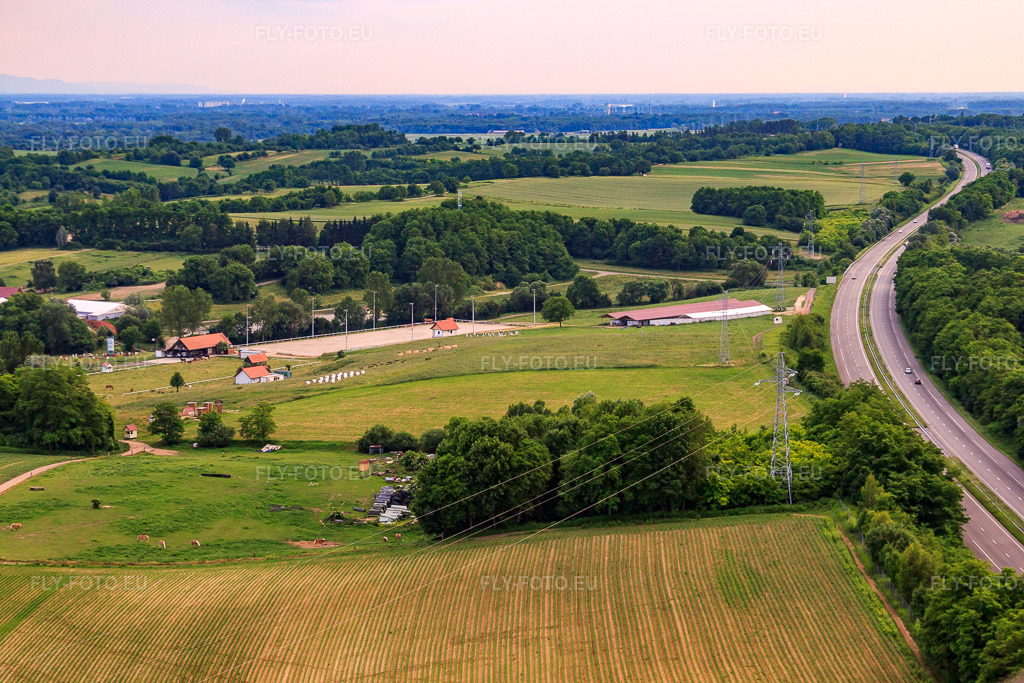 Vue aérienne: Haras De La Née à Neewiller-près-Lauterbourg dans le département Bas Rhin, France.Photo: IMG_28741.jpg prise le 14/06/2010 par Werner Riehm/FLY-FOTO.euRésolution de l'original: 4752 x 3168 pxHaras de la Nee équitation chevaux concours