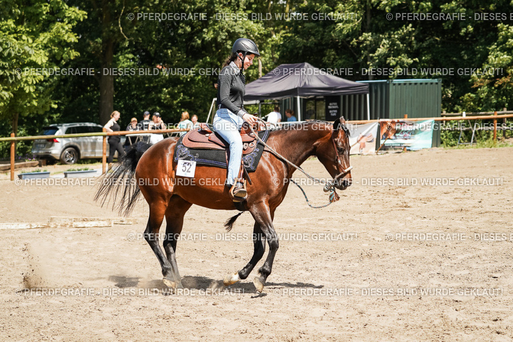 DSC07657 | Pferdegrafie