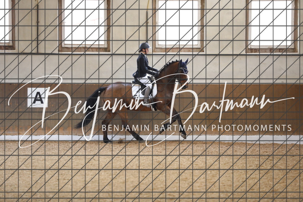 AZ2A0477 | Benjamin Bartmann Photomoments