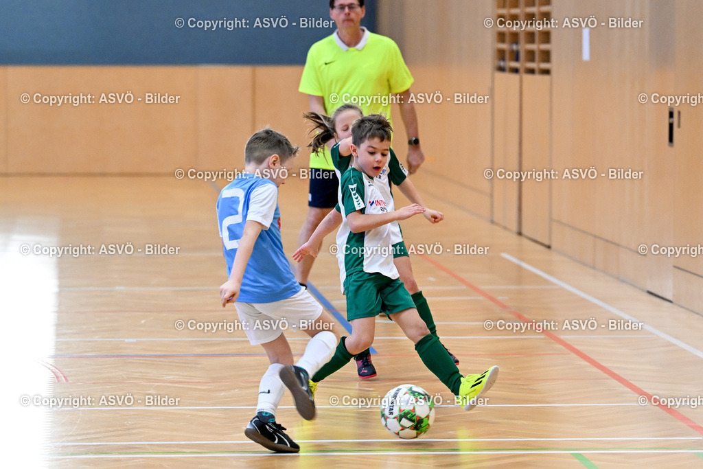 ASVÖ_ Fussballturnier SV Gallneukirchen_ 08.02.2025-22 | 08.02.2025, Gallneukirchen, AUT, ASVÖ, Fussball Nachwuchs Hallenturnier 2025, SV Gallneukirchen im Bild Teilnehmer U 7©Harald Dostal / fodo.media - Realisiert mit Pictrs.com