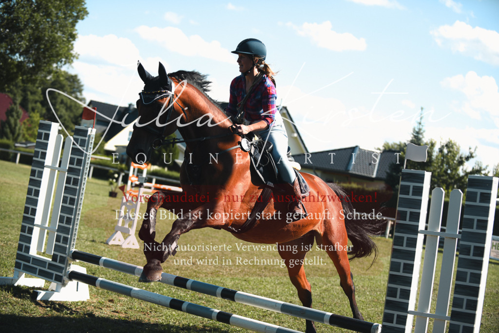 DSC_7727 | Pferde- und Turnierfotografie in Westsachsen. Pferdeportraits, Auftragszeichnungen und intuitive Kunst.