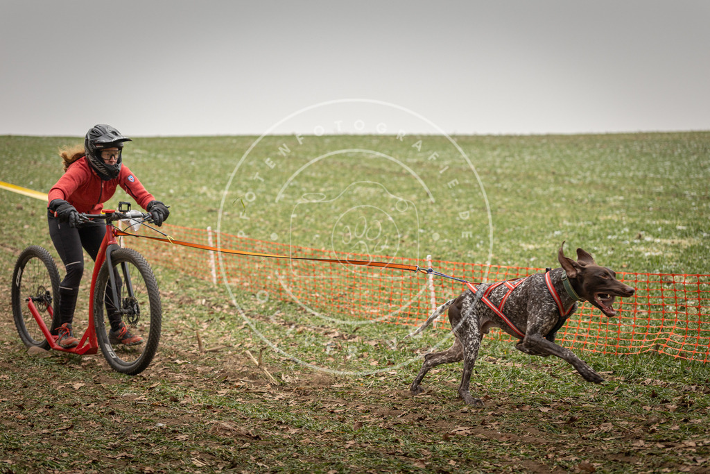 Pfotenfotografie_DV3A3645 | Hundefotografie, Tierfotograf, Pfotenfotografie, Fotoshooting Hund, Hunde Portrait, Hundesport, Hundeportraits, Heideshooting, Hunde, Sportfotograf, Hundefotograf, Turnierhundsport, THS,  - Realisiert mit Pictrs.com