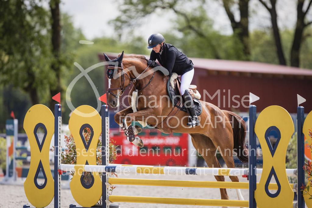 230516_Mühlen_03SprPf-A-430 | Deine schönsten Turniermomente als professionelle Fotos! Entdecke hochwertige Pferdesport-Fotografie im Online-Shop. Jetzt Fotos finden & bestellen!