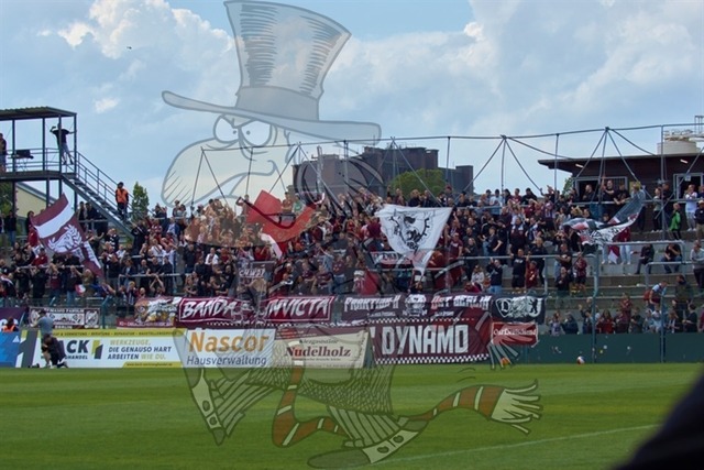BFC Dynamo vs. Berliner AK 07 036 | mythos-online-redaktion