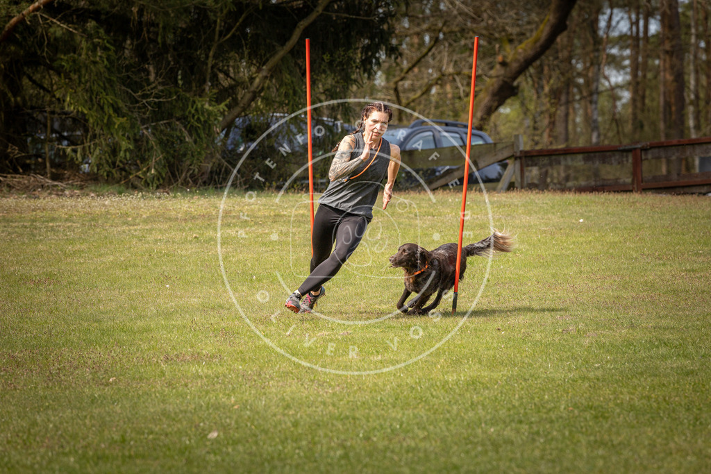 Pfotenfotografie_DV3A7170 | Hundefotografie, Tierfotograf, Pfotenfotografie, Fotoshooting Hund, Hunde Portrait, Hundesport, Hundeportraits, Heideshooting, Hunde, Sportfotograf, Hundefotograf, Turnierhundsport, THS,  - Realisiert mit Pictrs.com